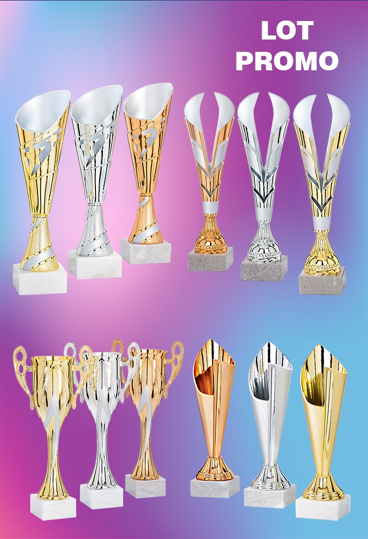 LOT DE 12 COUPES