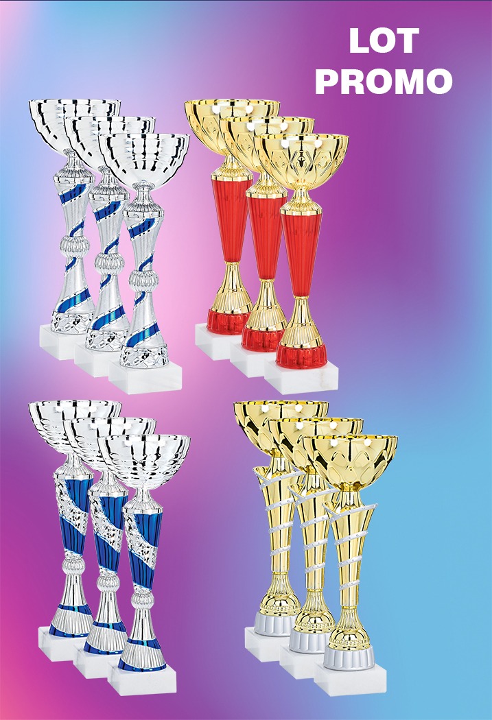 LOT DE 12 COUPES