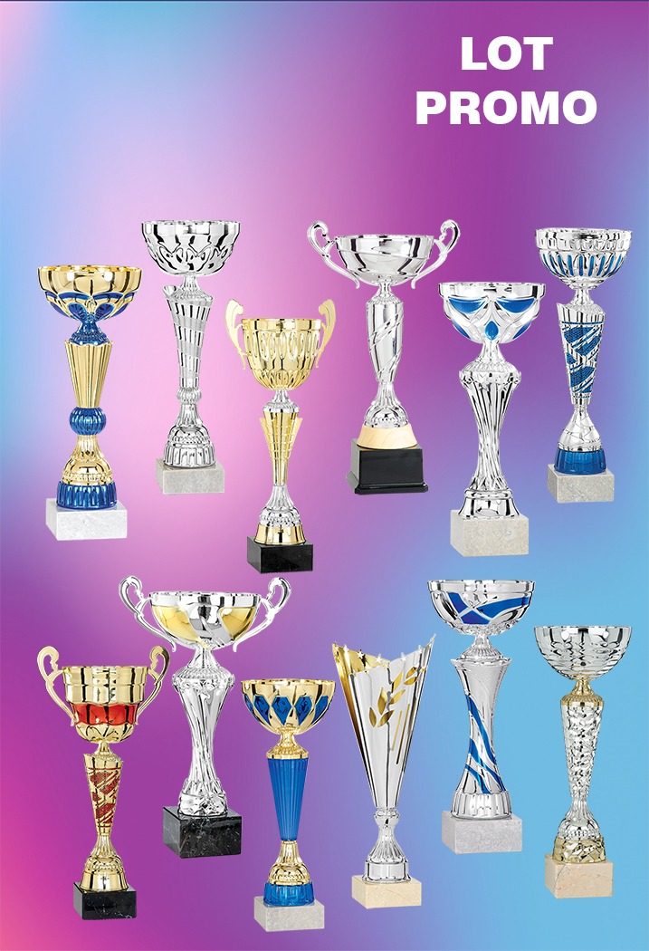 LOT DE 12 COUPES